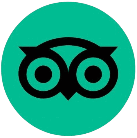 trip-advisor-removebg-preview