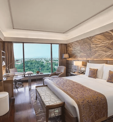 Premier Room