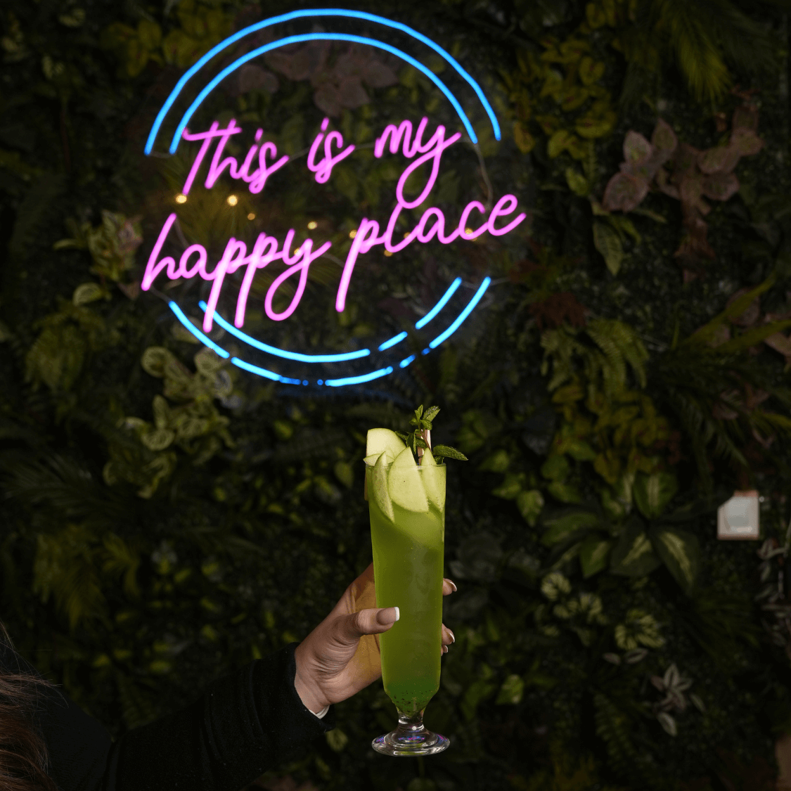 Spezia Bistro store image Ambience Mall Gurugram 1