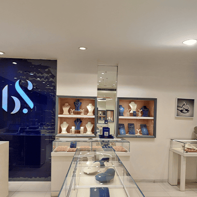 Bluestone store image Ambience mall Vasant Kunj 6