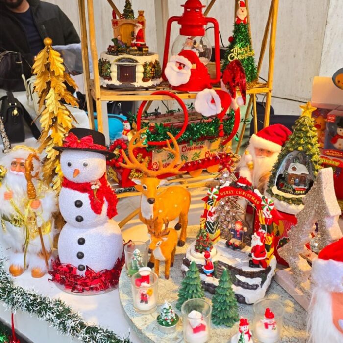 WhatsApp Image 2025-02-07 at 10.42.34 (1)