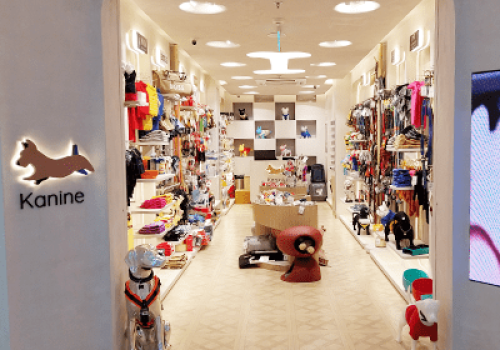 Kanine store image Ambience mall Vasant Kunj 5
