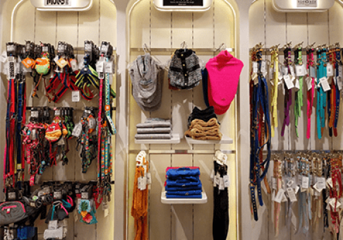 Kanine store image Ambience mall Vasant Kunj 6