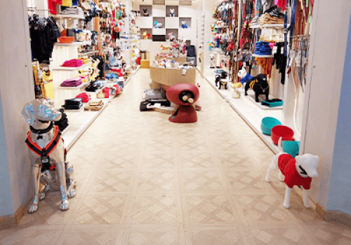 Kanine store image Ambience mall Vasant Kunj 7