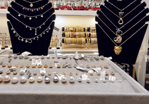 Ramaya store banner image ambience mall vasant kunj 3