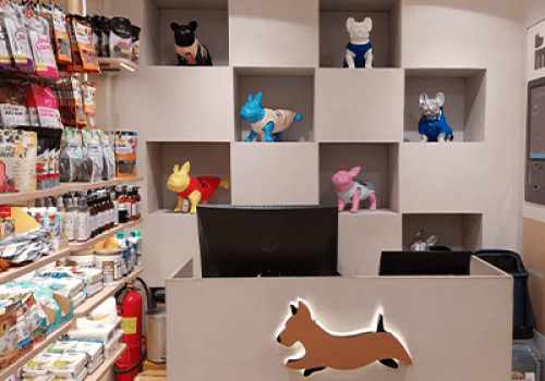 Kanine store image Ambience mall Vasant Kunj 2