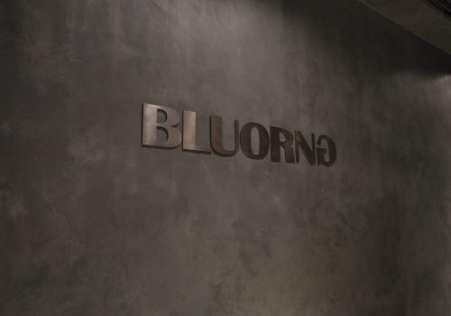 Bluorng store image Ambience mall Gurugram 8
